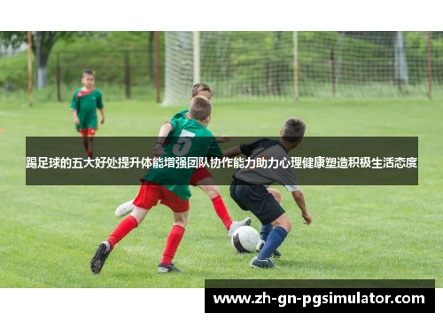 踢足球的五大好处提升体能增强团队协作能力助力心理健康塑造积极生活态度