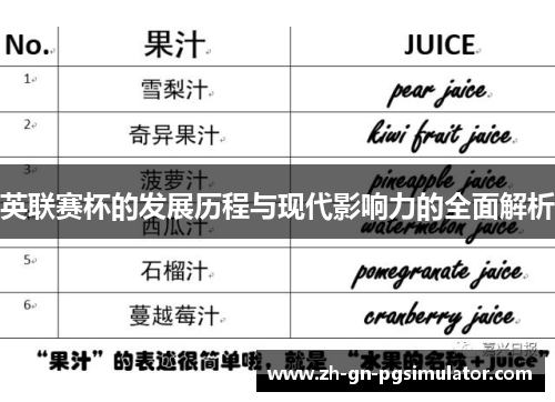 英联赛杯的发展历程与现代影响力的全面解析