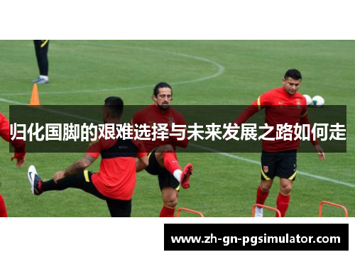 归化国脚的艰难选择与未来发展之路如何走