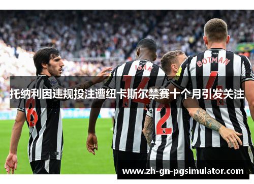 托纳利因违规投注遭纽卡斯尔禁赛十个月引发关注
