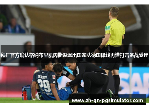 拜仁官方确认格纳布里肌肉撕裂退出国家队德国锋线再遭打击备战受挫