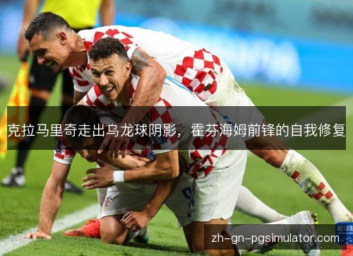 克拉马里奇走出乌龙球阴影,霍芬海姆前锋的自我修复 克拉马里奇走出乌龙球阴影,霍芬海姆前锋的自我修复